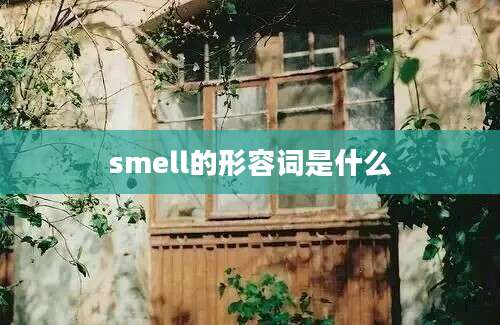 smell的形容词是什么