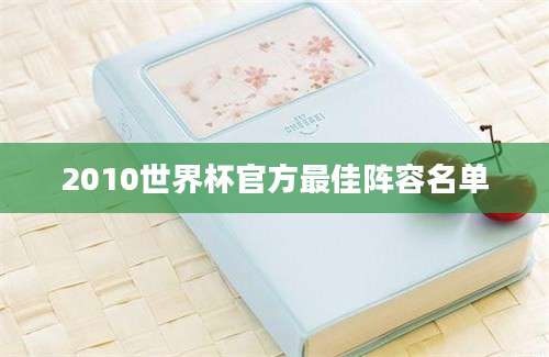 2010世界杯官方最佳阵容名单