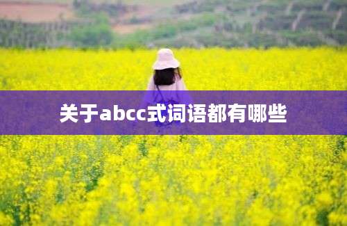 关于abcc式词语都有哪些