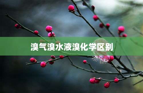 溴气溴水液溴化学区别