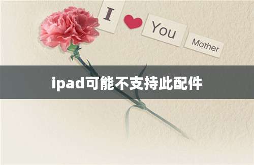 ipad可能不支持此配件