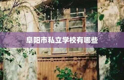 阜阳市私立学校有哪些