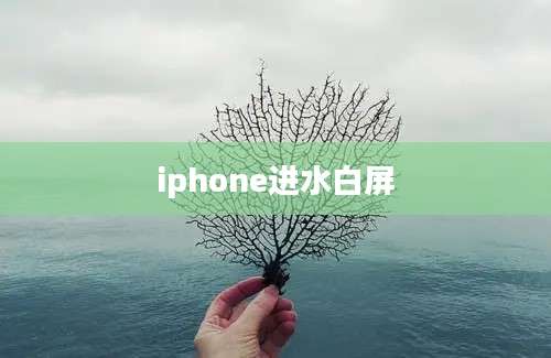 iphone进水白屏