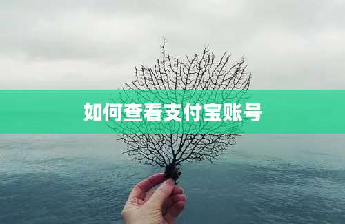 如何查看支付宝账号