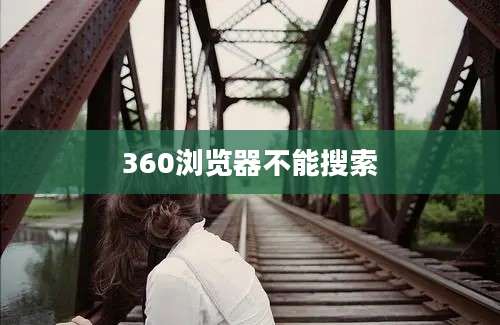 360浏览器不能搜索