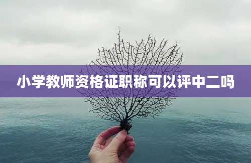 小学教师资格证职称可以评中二吗