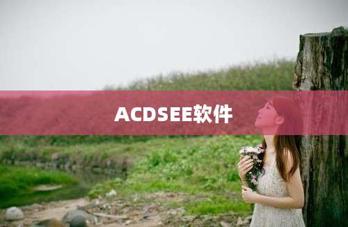 ACDSEE软件