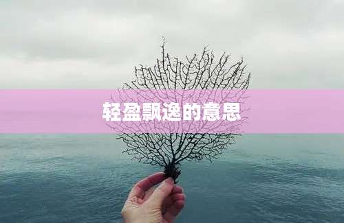 轻盈飘逸的意思