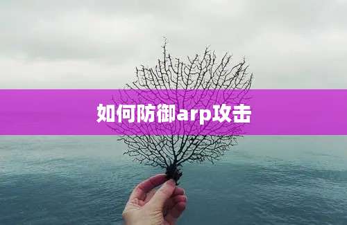 如何防御arp攻击