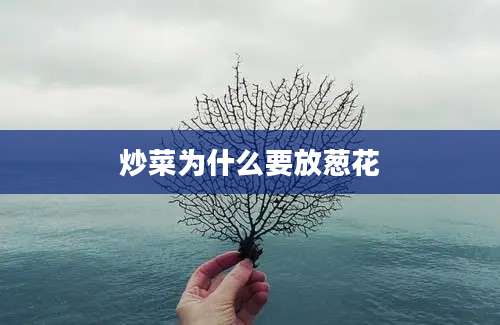 炒菜为什么要放葱花