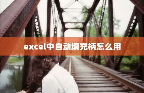 excel中自动填充柄怎么用