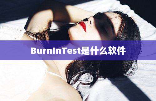 BurnInTest是什么软件