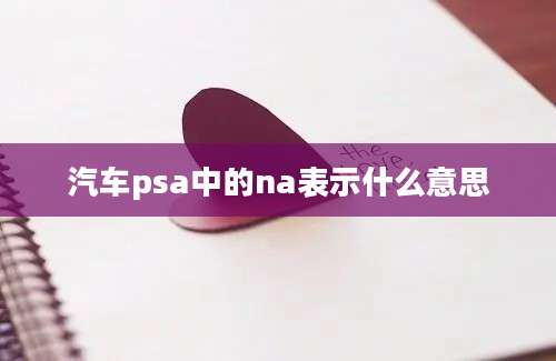 汽车psa中的na表示什么意思