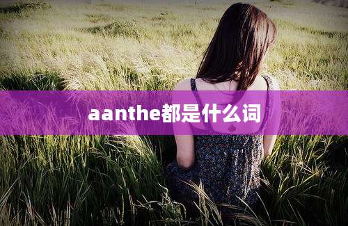 aanthe都是什么词