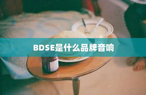 BDSE是什么品牌音响