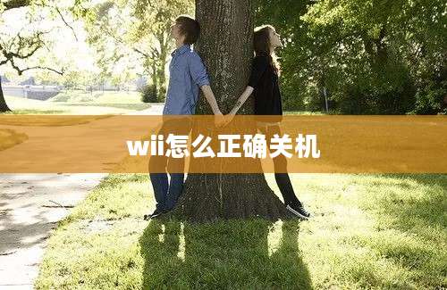 wii怎么正确关机