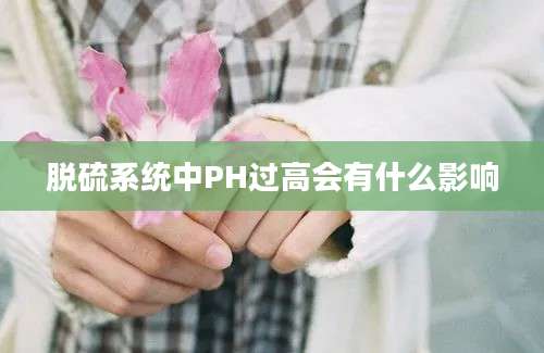 脱硫系统中PH过高会有什么影响