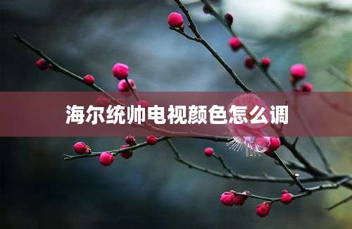 海尔统帅电视颜色怎么调