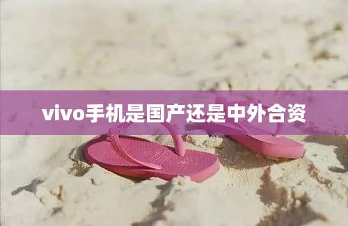 vivo手机是国产还是中外合资