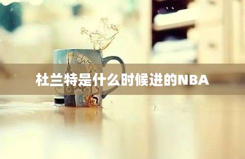 杜兰特是什么时候进的NBA