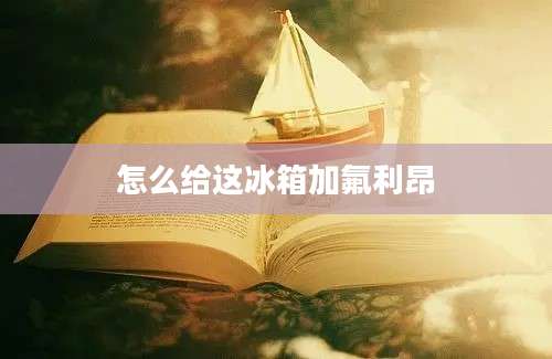 怎么给这冰箱加氟利昂