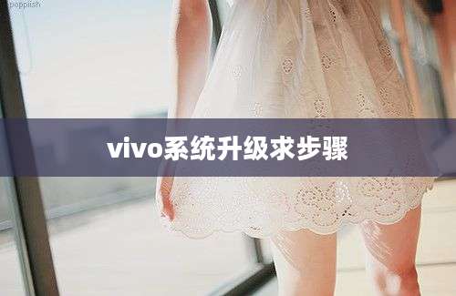 vivo系统升级求步骤