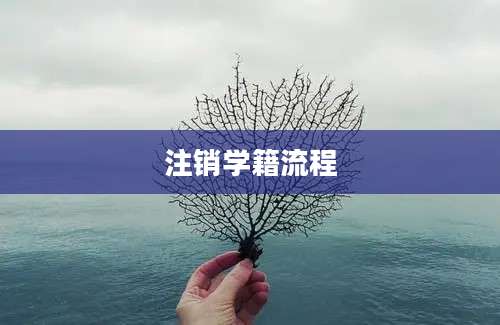 注销学籍流程