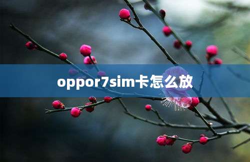 oppor7sim卡怎么放