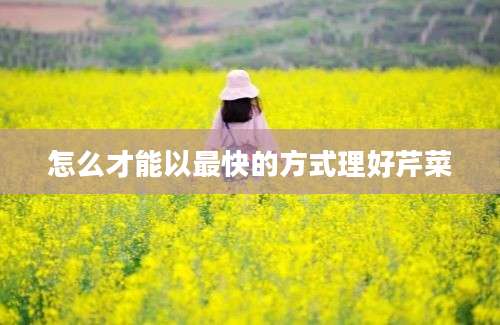 怎么才能以最快的方式理好芹菜