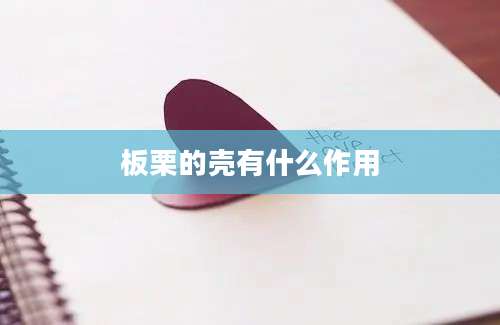 板栗的壳有什么作用