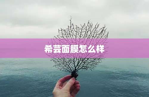 希芸面膜怎么样