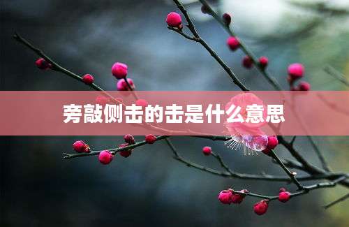 旁敲侧击的击是什么意思