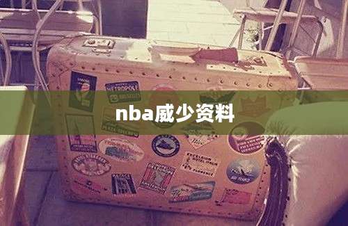 nba威少资料