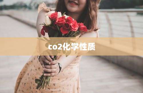 co2化学性质