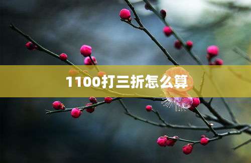 1100打三折怎么算