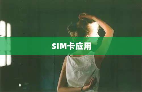 SIM卡应用