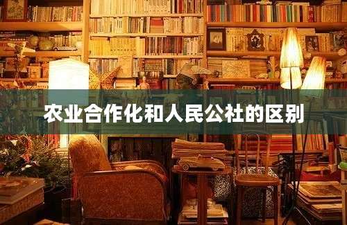 农业合作化和人民公社的区别