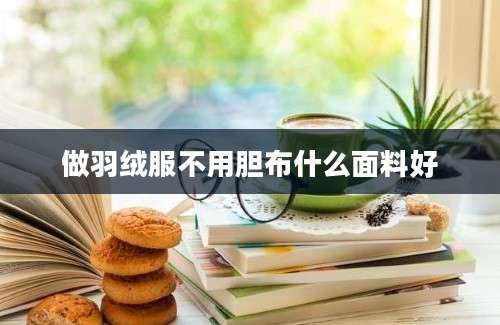 做羽绒服不用胆布什么面料好