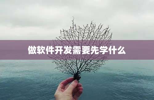 做软件开发需要先学什么