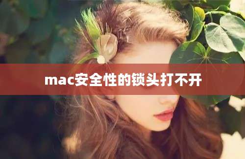 mac安全性的锁头打不开