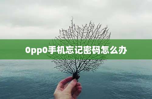 0pp0手机忘记密码怎么办