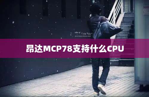 昂达MCP78支持什么CPU