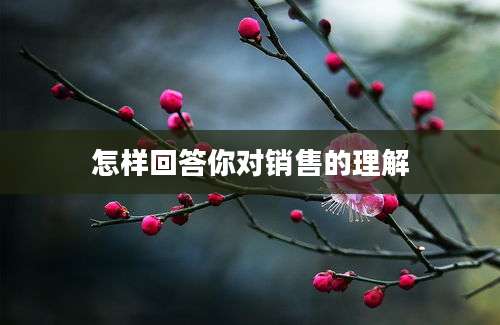 怎样回答你对销售的理解