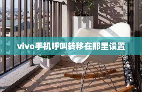 vivo手机呼叫转移在那里设置