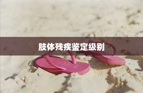 肢体残疾鉴定级别