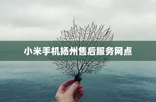 小米手机扬州售后服务网点