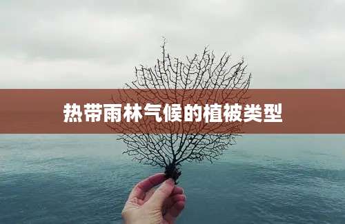 热带雨林气候的植被类型