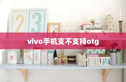 vivo手机支不支持otg