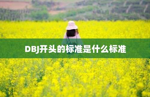 DBJ开头的标准是什么标准