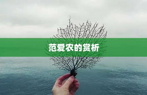 范爱农的赏析